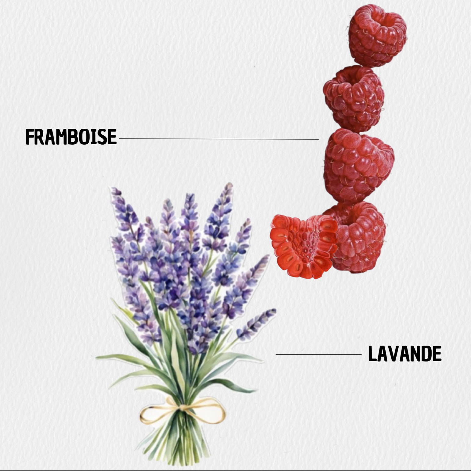 Paris – Lavande & Framboise