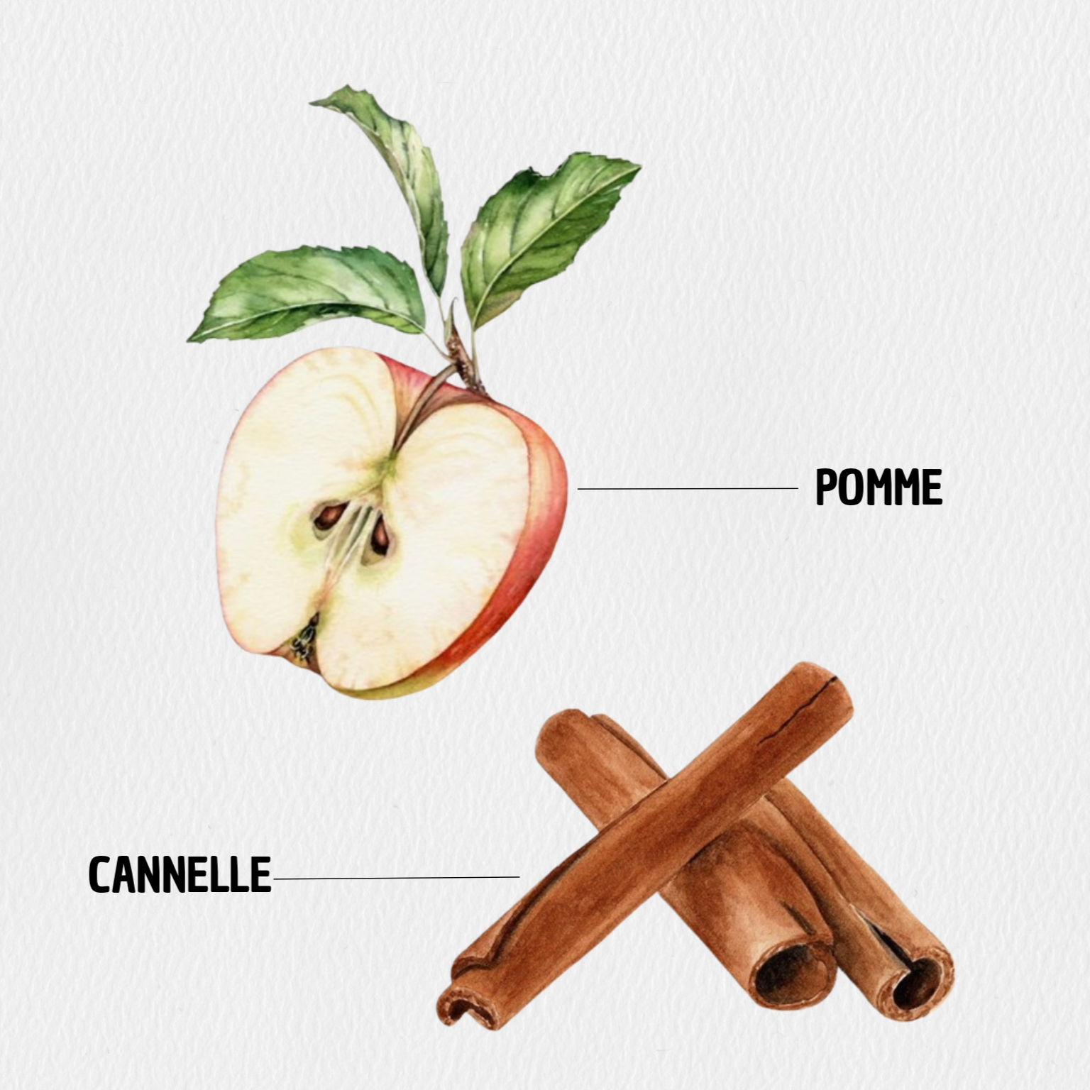 New York – Pomme & Cannelle