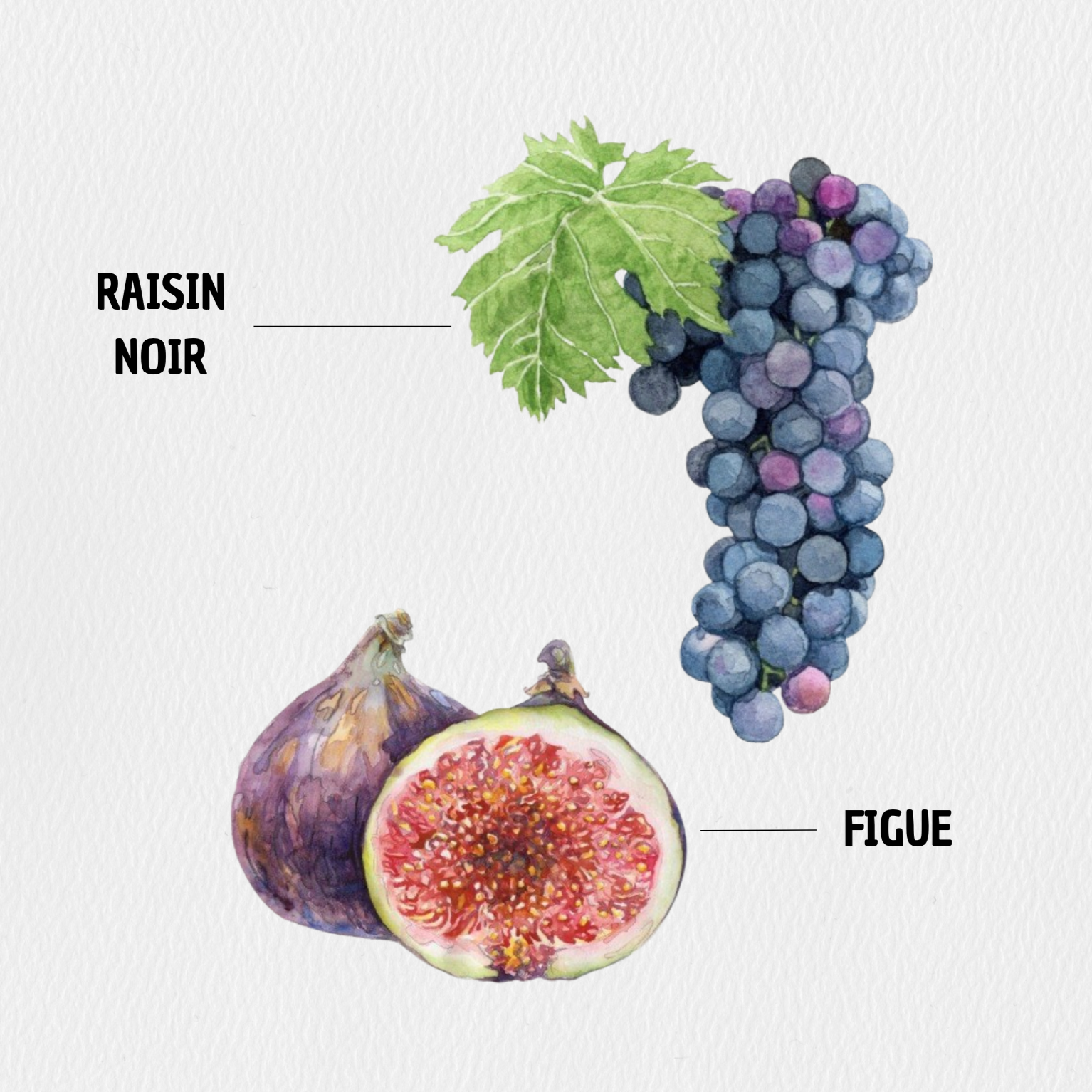 Porto – Raisin noir & Figue